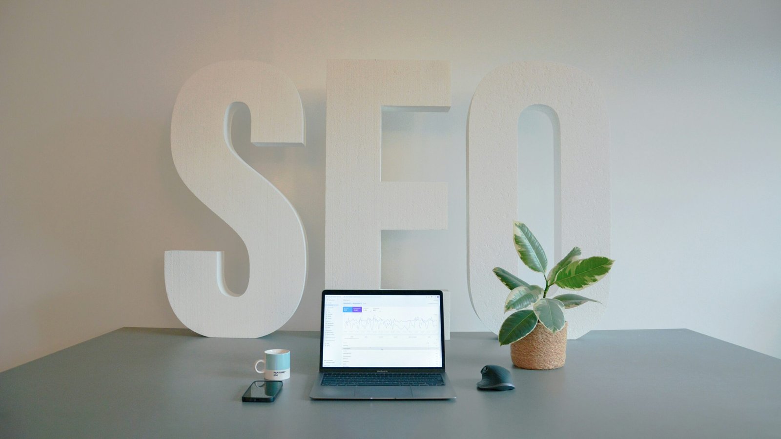 specialist seo