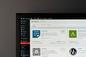 SEO pentru WordPress
