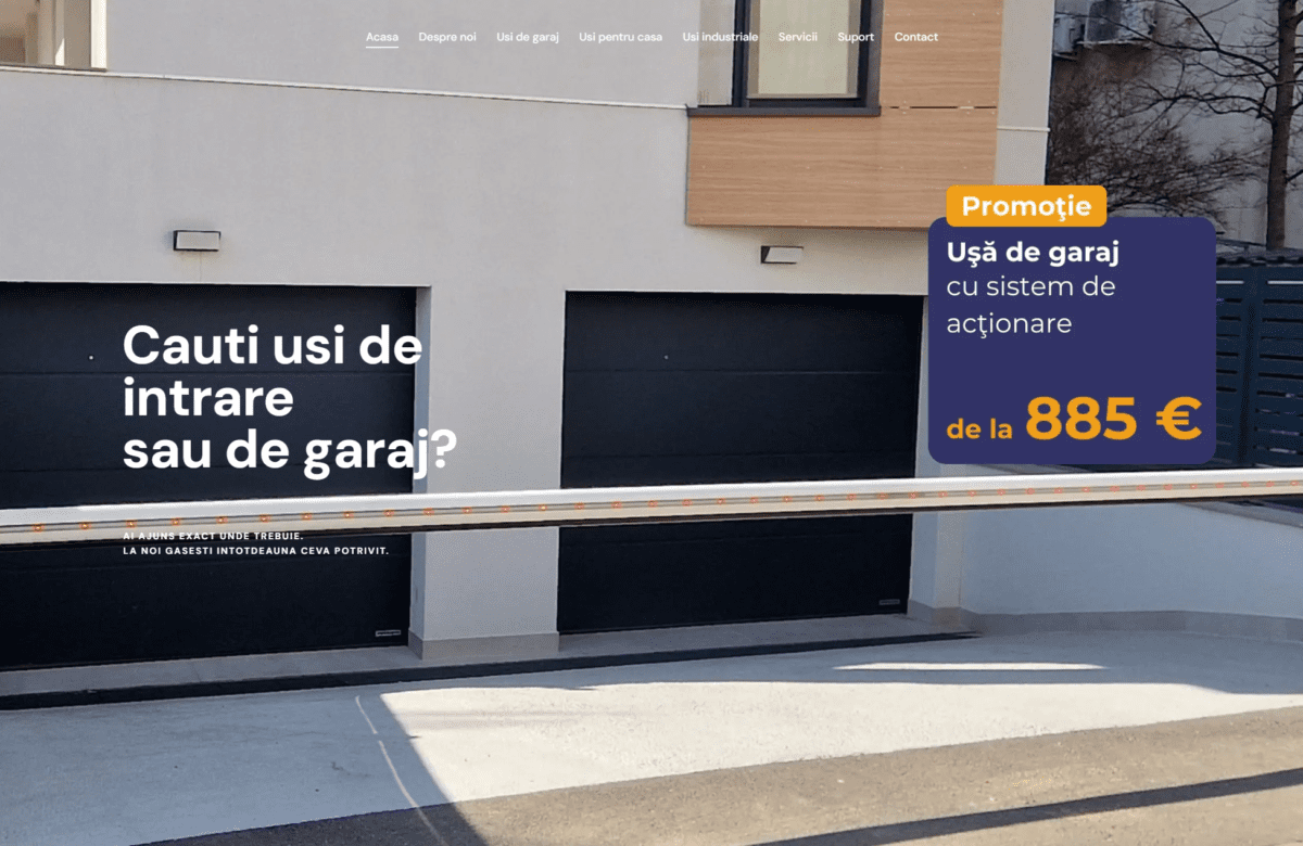 Portofoliu de proiecte