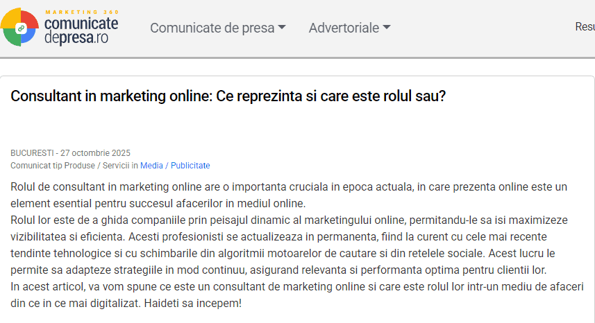 consultant in marketing online